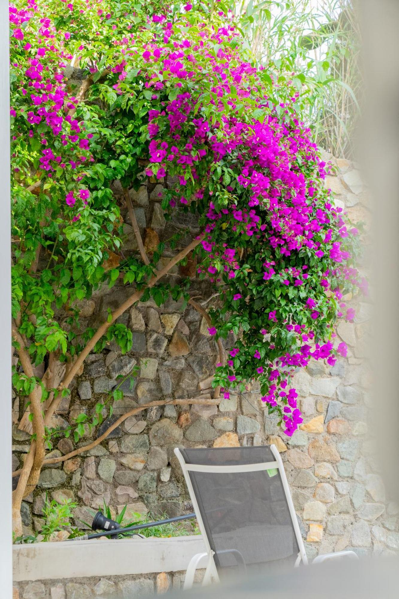 Villa Acacia Ponza Exterior photo